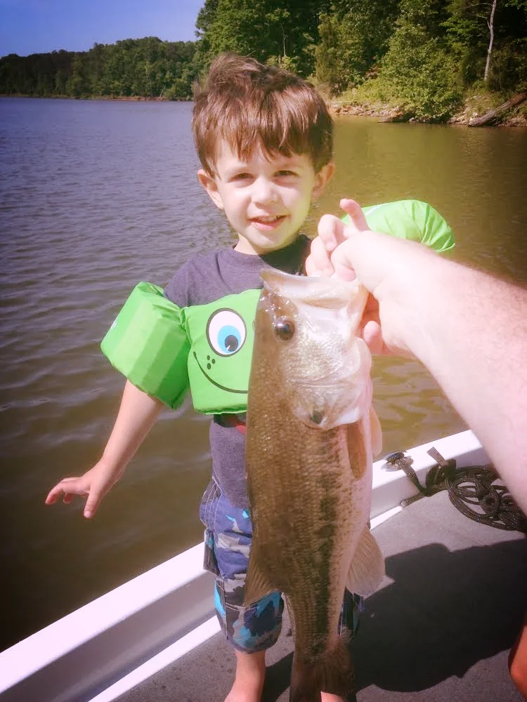 First Bass